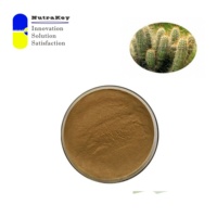 Poudre d'extrait de cactus de qualité supérieure 10% polyphénols | Antioxydant naturel et anti-inflammatoire | Opuntia Ficus-extrait d'indica
