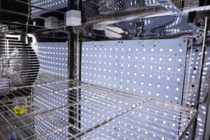 150L LED aydınlatma Lab İklim testi bitki büyüme kuluçka odası CE - Product Image 6