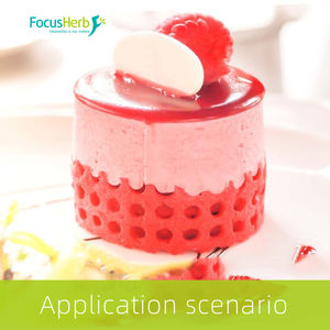 FocusHerb Pigment Naturel Qualité Alimentaire en Vrac Poudre de Betterave Rouge Séchée par Pulvérisation 1kg/Sac 25kg/Fût - Product Image 5