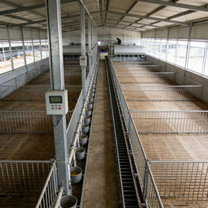 Factory direct sales <b>prefab</b> <b>houses</b> Layer Chicken Poultry Farm Chicken <b>House</b> Poultry <b>House</b> - Product Image 3