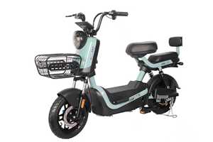 14-<strong>Inch</strong> 3-Speed Hydraulic Disc Brake Lead Acid Battery Electric Bike with Brushless Rear Hub Motor and <strong>Digital</strong> Sensor - Product Image 2