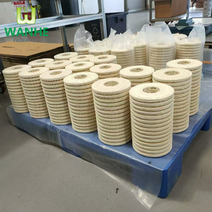 Filtro de aceite de alta precisión FL10030 inserto PA5601321 Filtro de precisión de aceite hidráulico para turbina eólica Vestas - Product Image 6