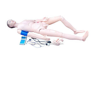 Maniquí de Enfermería, Muñecos de Enseñanza Médica para Entrenamiento Avanzado de Enfermería con Brazo de Entrenamiento de Presión Arterial (masculino/femenino), Modelo Educativo - Product Image 1