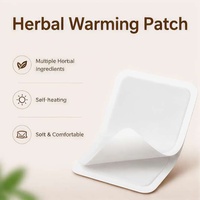 Patch chauffant aux herbes, plâtre à l'armoise et au moxa, certifié CE, pour le soulagement des douleurs articulaires et musculaires, usine OEM