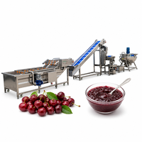 Industriële jamproductielijn, automatische fruitjamproductie-apparatuur met meng-, kook- en afvulsysteem
