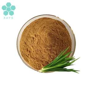 Halal Certificate Pandan Leaves Powder Pandan Leaf Extract Pandan Leaf Powder