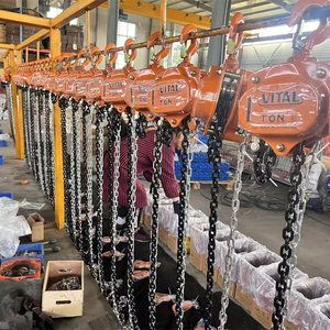 VITAL Tipe 20Ton Katrol Rantai Tangan dan Hoist Rantai Manual - Product Image 2