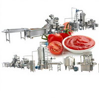 Línea de Producción de Salsa de Tomate de Pequeña Capacidad Gelgoog de Guangzhou, Máquina para Hacer Pasta de Tomate, Turquía