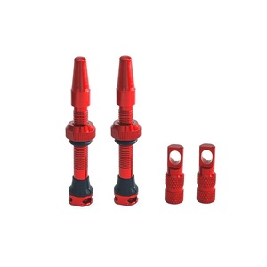 Kit de réparation de valve <span class=keywords><strong>tubeless</strong></span> en acier inoxydable pour vélo avec 2 jeux de buses à vide et outil de démontage de la valve pour éviter le reflux - Product Image 4