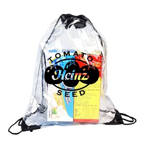 Tùy chỉnh quảng cáo biểu tượng không thấm nước Mochila <span class=keywords><strong>PVC</strong></span> rõ ràng nhựa dây kéo vẽ chuỗi ba lô túi - Product Image 4