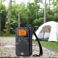 Anpassbare W-206/AM/FM Radio-Starkes Signal/eine neue Wahl für klassische Radios