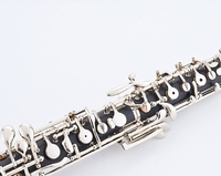 Wholesale Professional Musical Woodwind Instruments Semi Automatic Button Bakelite 22 Key C Tone Oboe Nickel Plated with Case