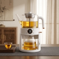 Bouilloire Santé en Verre 220V avec Contrôle de Température, Chauffage Électrique, Idéale pour la Maison et le Bureau