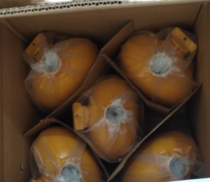 Lubricador de Aceite para Martillo Neumático, Lubricador de Aceite para Perforadora de Roca de Minería - Product Image 5