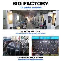 Scies à table circulaires de précision industrielles de 12 pouces (300x3.0x30x96T) en gros d'usine, blanches, personnalisables OEM pour la découpe de l'aluminium