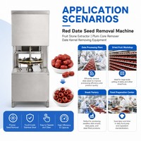 Machine voor het verwijderen van dadelpitten, fruitpitverwijderaar, pruimenpitverwijderaar, dadelpitverwijderingsapparaat