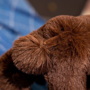 Commercio all'ingrosso eco-friendly Super Soft peluche PP in cotone pieno di <span class=keywords><strong>barboncino</strong></span> gigante <span class=keywords><strong>barboncino</strong></span> cane peluche giocattoli 20/32cm - Product Image 6