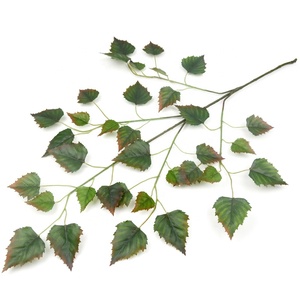 Feuilles de plantes artificielles d'arbre de bouleau blanc de feuillage réaliste de nouveau Style pour la décoration - Product Image 6