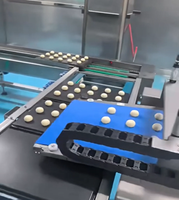 Machine à aligner les plateaux polyvalente ADMF pour le rangement du pain commercial, idéale pour les toasts, baguettes, pains à burger, mochi, et les usines de transformation alimentaire.
