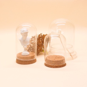 Fornitura di diverse dimensioni chiaro semplice fiore di rosa conservato in vetro a cupola di vetro con cupola in legno nero base in oro - Product Image 6