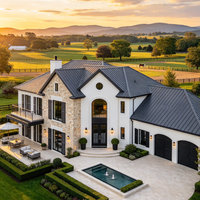 Fenêtre en acier série 50 à cadre ultra-fin, fenêtre cintrée en acier avec verre de sécurité trempé pour villas haut de gamme en Europe et aux États-Unis