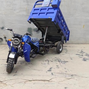 Tricycle cargo à essence à 3 roues, moteur 1000W, fabrication chinoise, type moto 48V - Vente flash - Product Image 3