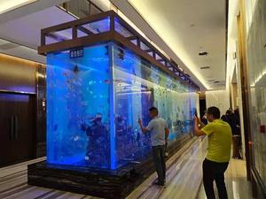 Bestseller Commercieel Groot Plastic Acryl Aquarium Aquarium 40 <span class=keywords><strong>Gallon</strong></span> Aquarium Aquarium Groot Acryl - Product Image 5