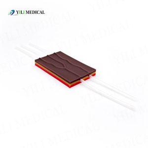 Modèle médical d'entraînement à la simulation d'infusion intraveineuse avec clip de bande en silicone à trois couches simulées pour l'enseignement - Product Image 3