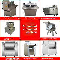 Dubbelkopige commerciële multifunctionele groentesnijder, -slicer en -shredder met 1 jaar garantie, afkomstig uit China
