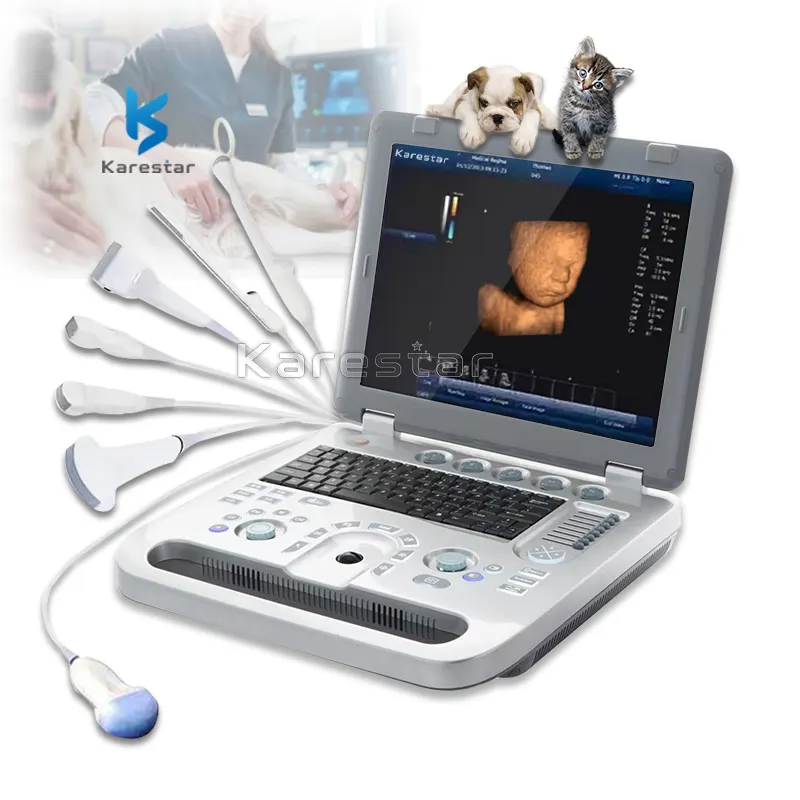 Color Doppler Diagnostic Vet Ultrasonic Machine 3d veterinary use 4d ultrasound