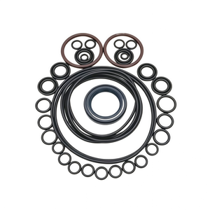Kit de joints pour pompes à piston axiales hydrauliques AP2D25, AP2D28, AP2D36, AP2D38 - Pièces de rechange et kit de réparation R902095620 - Product Image 2