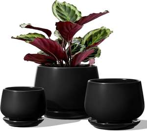 Ensemble de 3 pots de fleurs en céramique 4,1+5,1+6,5 pouces, écologiques, durables, légers, avec trou de drainage et soucoupe, pour une utilisation en intérieur/extérieur - Product Image 1