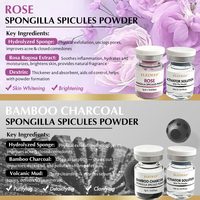 Poudre de traitement de l'acné à base de spicules de Spongilla, peeling bio-microneedling, atténue les taches brunes, soin anti-âge pour la peau