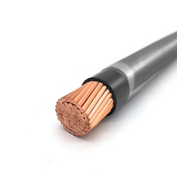 Cable de Construcción THHN 14AWG 12AWG 10AWG 600V, Cobre Trenzado, Aislamiento de PVC con Cubierta de Nylon, 1 Núcleo, Alimentación Industrial para Conducto
