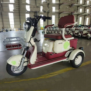 <span class=keywords><strong>Vélo</strong></span> pliant électrique Portable populaire pour adultes personnes âgées <span class=keywords><strong>handicap</strong></span>ées <span class=keywords><strong>moteur</strong></span> à 3 vitesses 60V acier sans brosse pour les loisirs de trajet - Product Image 2