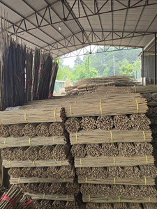 Bâtons de bambou agricoles pour support de plantes, longue durée, petit diamètre, séchés au four, fournisseur en gros du Vietnam, prix de gros - Product Image 4