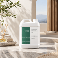 Huile de diffuseur de parfum commercial pour hôtel, spa, bureau, machine à aromathérapie, huile parfumée longue durée, vente en gros