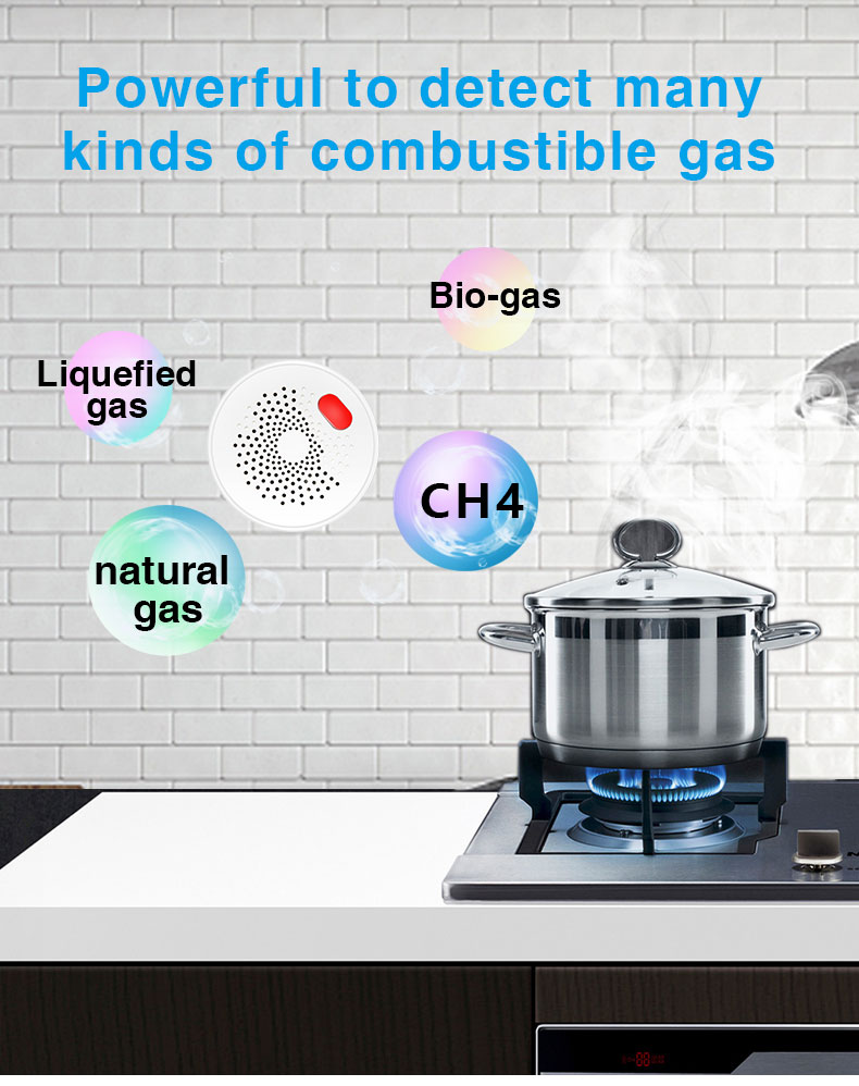 Powerfulto detect manykinds of combustible gas