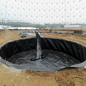 HDPE membran astar levha 60 mils pürüzsüz geomembran modern balık tankı için tilapias