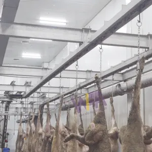 Eenvoudig Te Installeren Lammeren Slachthuis Systeem Voor 100 Geiten Karkas Vleesverwerking Transport Rail Voor Schapenmachines Australië Uae