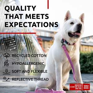 Collar de nailon reflectante para perros Waudog, ajustable, para perros pequeños, medianos y grandes, para todas las estaciones, estilo sencillo - Product Image 5
