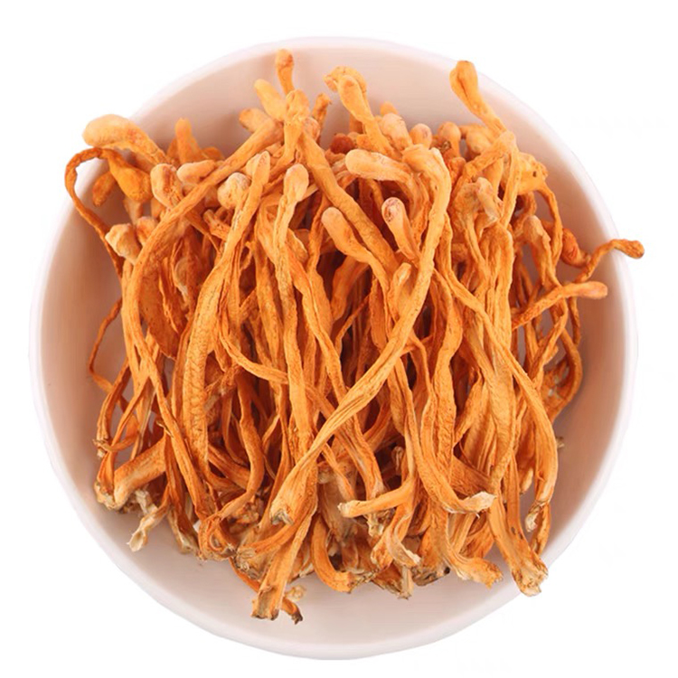 Cordyceps Flower Natural Cultivation Organic Edible Mushroom Healthy Food Dried Cordyceps Militaris