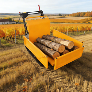 Matériel forestier, chargeur de jardin, transporteur de fruits de palmier à huile, transporteur sur chenilles en caoutchouc, mini-dumper - Product Image 1