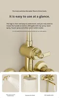 Ensemble de douche thermostatique classique en laiton à poignée unique, design français, avec jets pluie et massage, bec orientable à 180°, barre coulissante, finition chromée