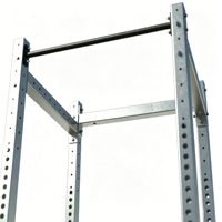 Rack de musculation autoportant en acier inoxydable pour extérieur, avec cage à squats multi-trous et barre de traction intégrée pour bras et triceps, usage domestique et commercial