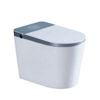 Toilettes intelligentes de luxe avec eau chaude et air chaud, WC universels pour hôtel
