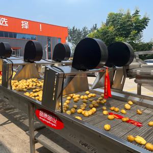 Top <span class=keywords><strong>classement</strong></span> SK citron pomme pomme pomme <span class=keywords><strong>machine</strong></span> à <span class=keywords><strong>laver</strong></span> tri tranchage séchage ligne de production - Product Image 4