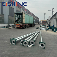 Poste de Iluminación Solar Comercial de Acero Galvanizado Octagonal Cónico de 9m con Brazos Simples/Dobles de Fábrica Profesional