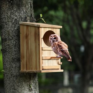 Grand Nid de hibou à ouverture rectangulaire en bois Assemblage facile <span class=keywords><strong>Chouette</strong></span> <span class=keywords><strong>effraie</strong></span> <span class=keywords><strong>effraie</strong></span> Oiseau Maison Vis de montage Sac de copeaux de bois - Product Image 5