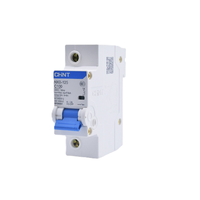 Le disjoncteur miniature de série de NXB-125 de Chint NXB-125 1P C125 a évalué la capacité de rupture MCB du courant 10KA
